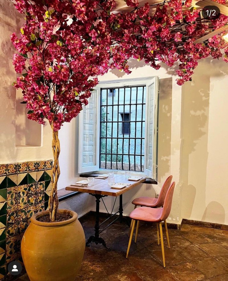 Ossobuco Ristorante Granada