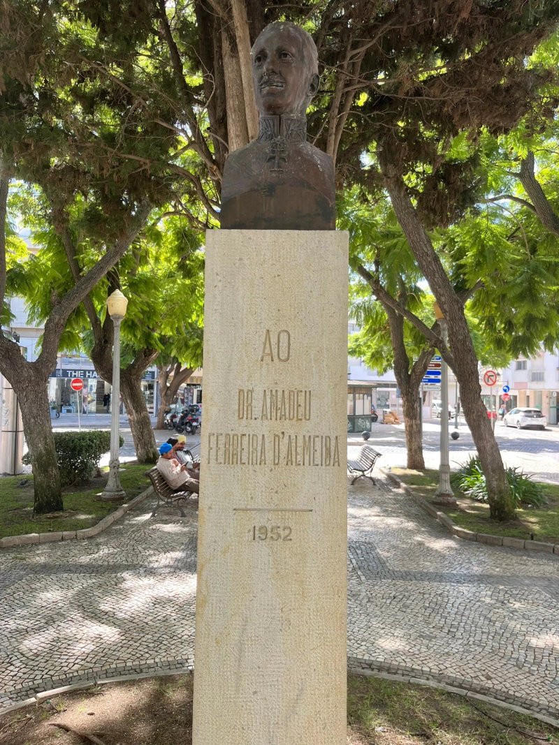 Busto De Amadeu Ferreira De Almeida Carvalho