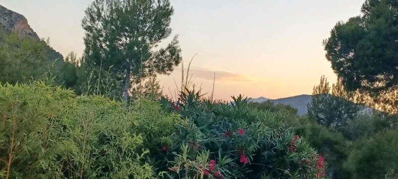 Hotel Finca Fabiola