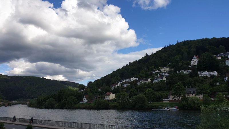 Hotel Neckarlux