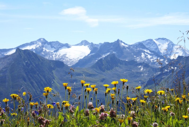 Kurcamping Erlengrund