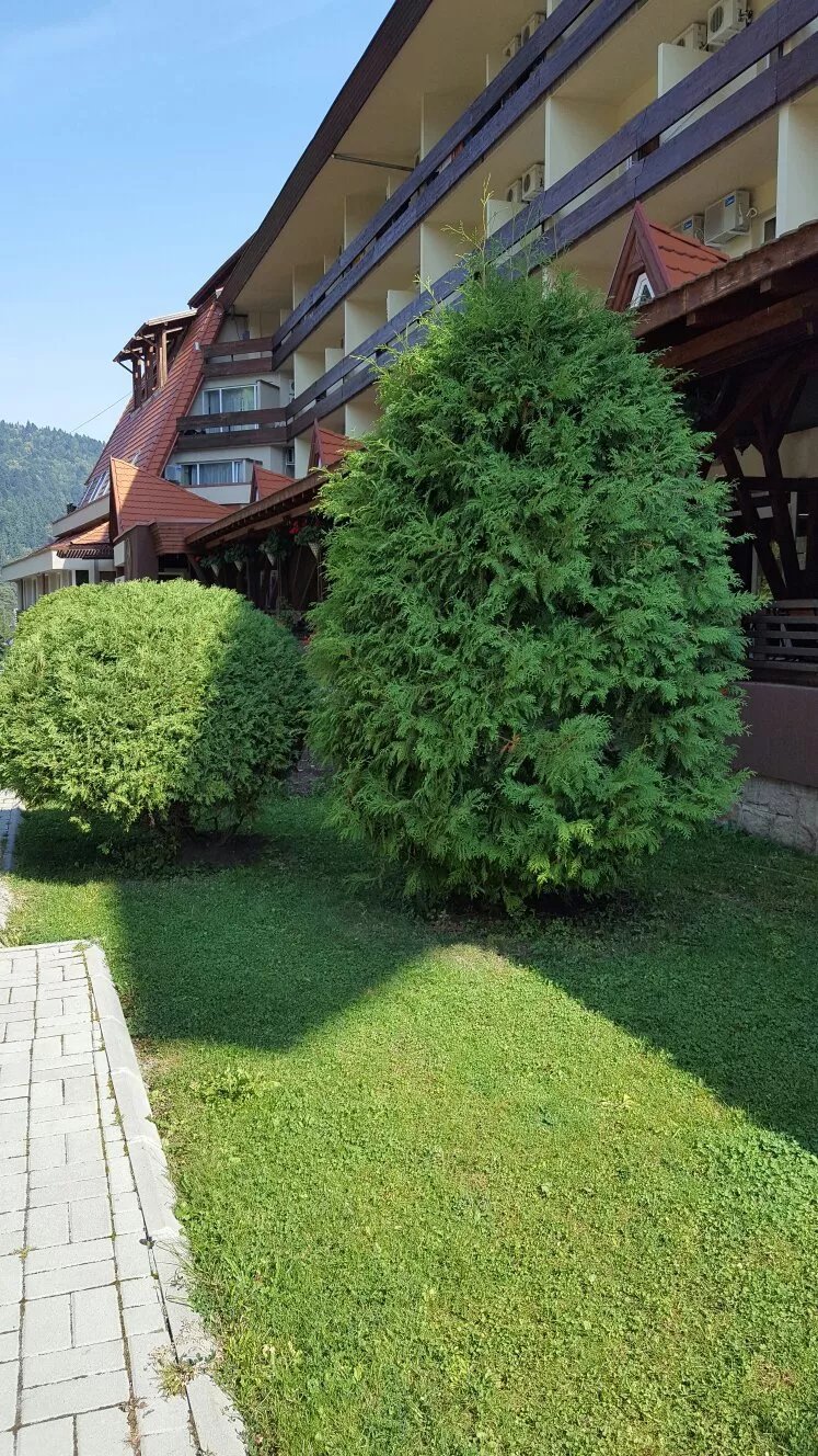 Hotel Ciucas