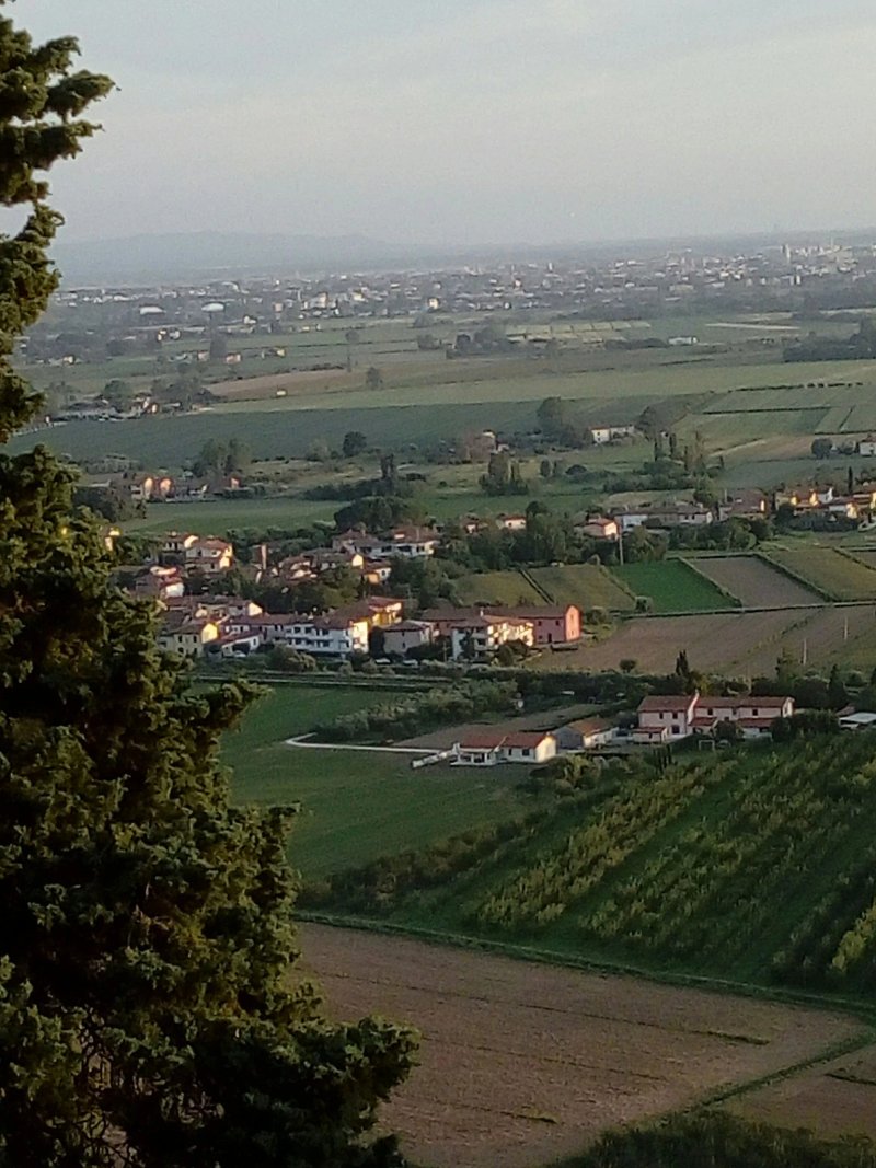 Il Mucchieto - azienda agrituristica