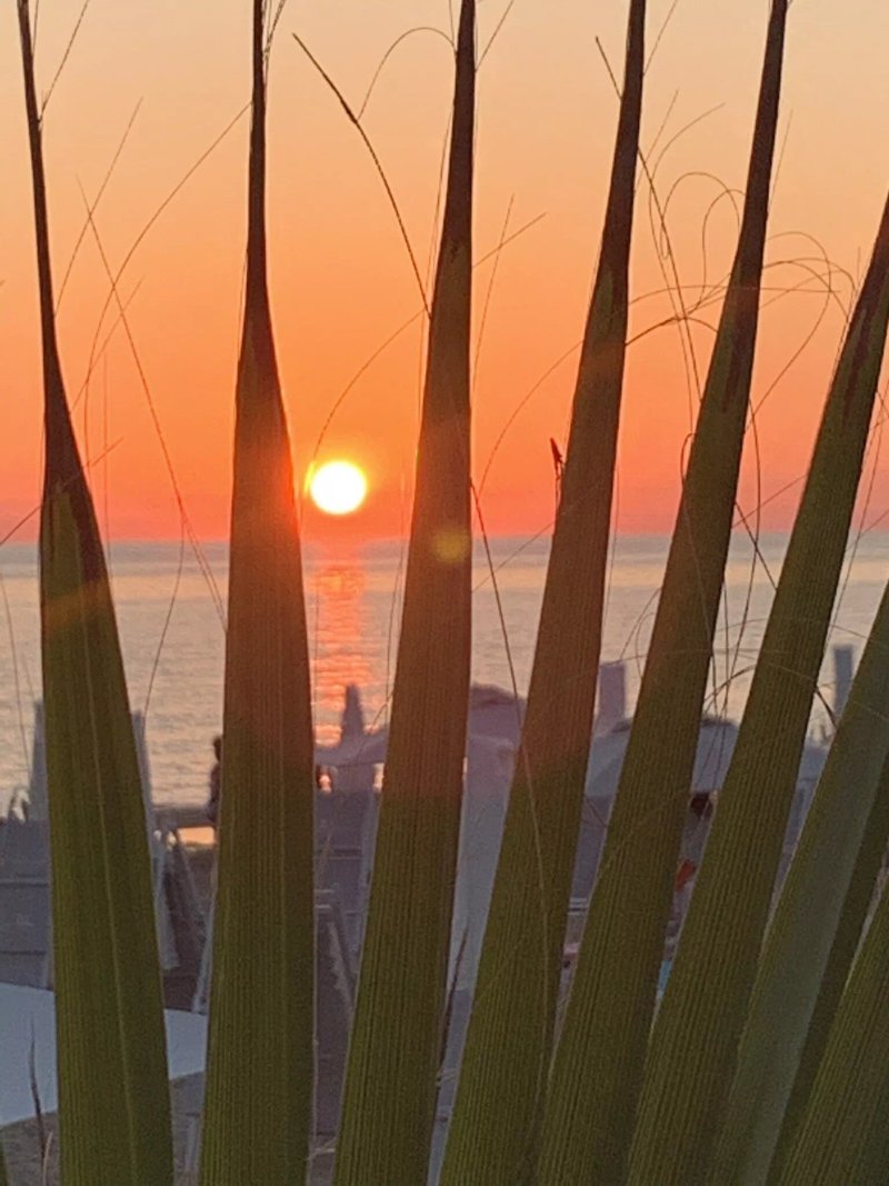 Ristorante Le Palme