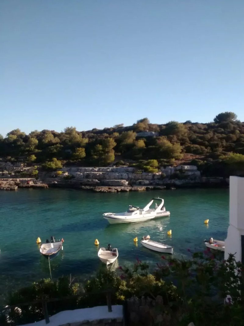 Petit Xuroy
