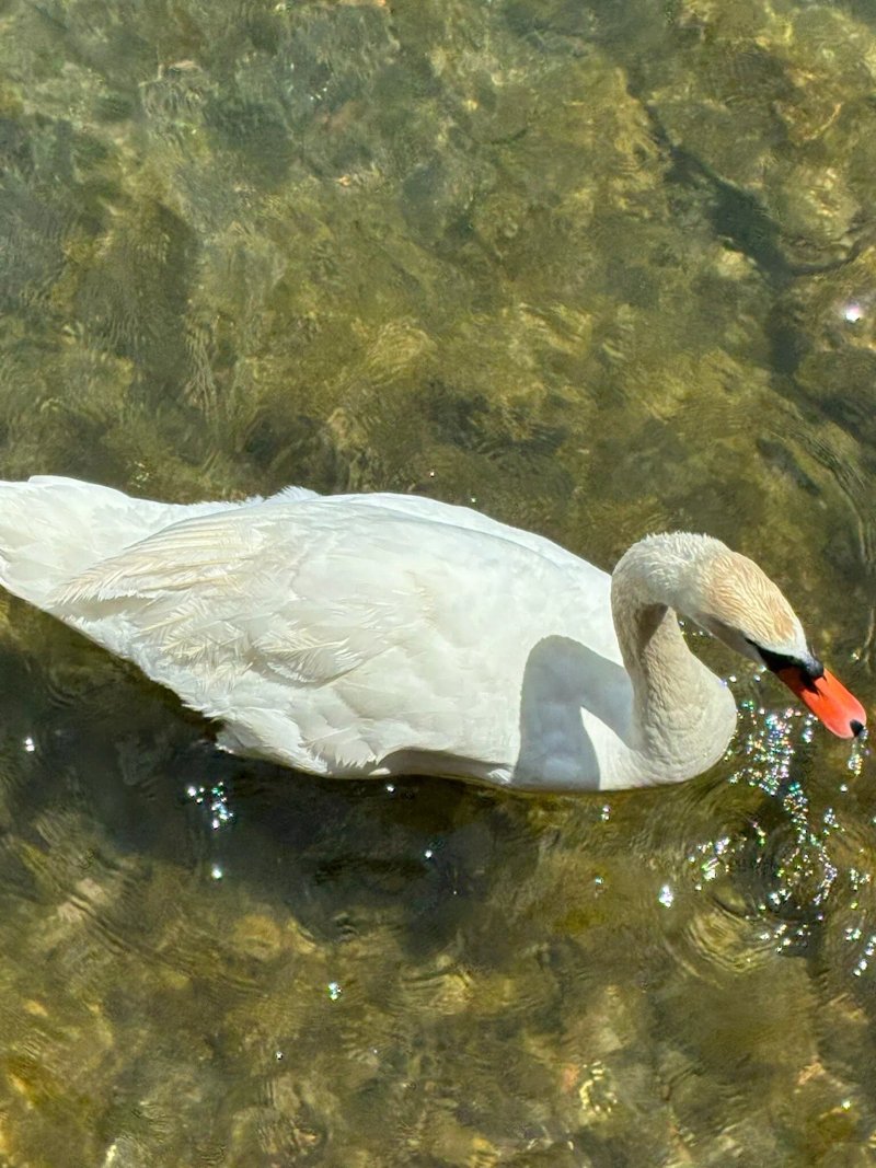 Paradiso Sul Golfo