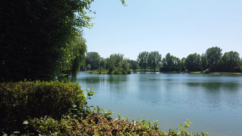 Erlebnisgaststatte Erlensee