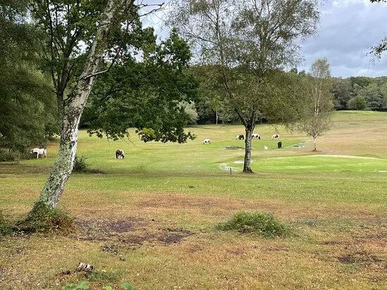 New Forest Golf Club