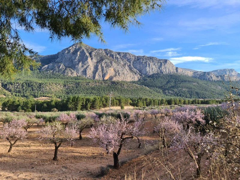 Hospederia Rural  Casas Nuevas