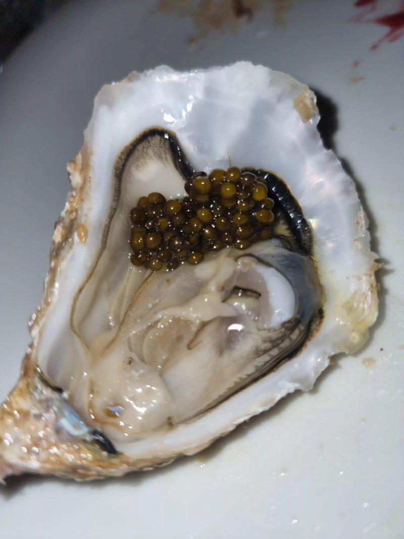 La Brasserie Ristorante