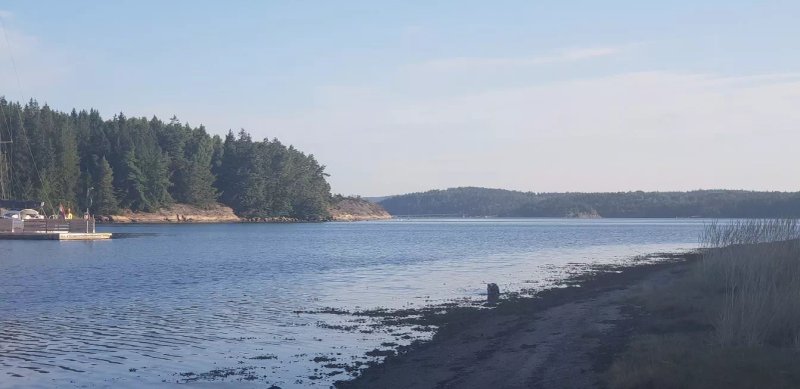 Almöns Bad & Camping