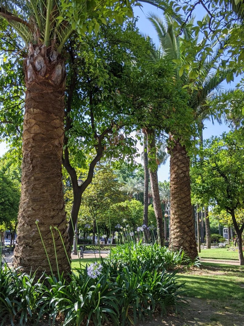 Monumento Al Duque de Rivas