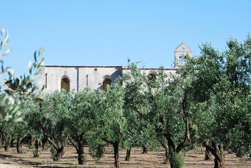 B&B Giardino degli Angeli