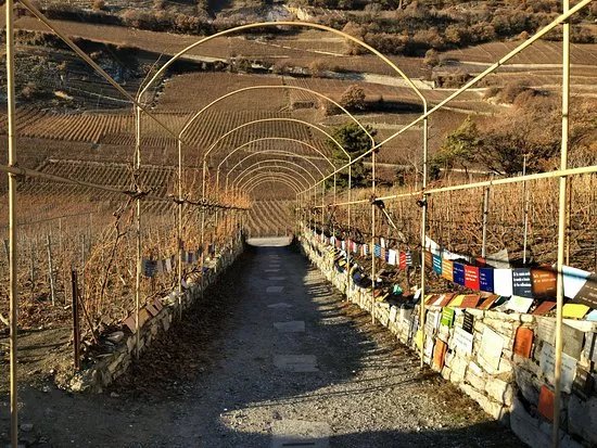 Vigne a Farinet