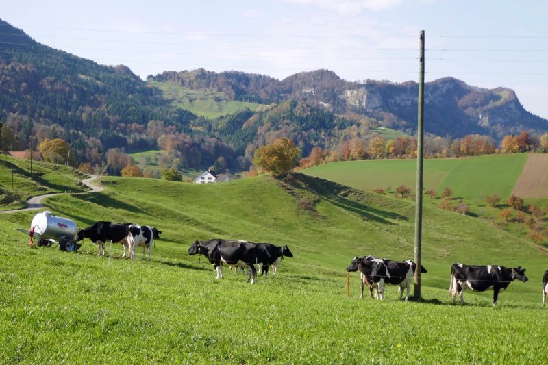Kallhof