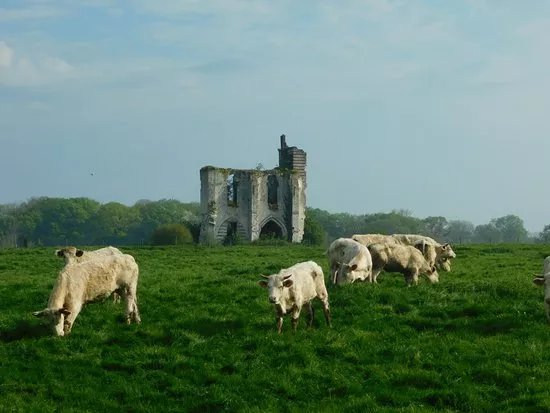 Ruines de l'Abbaye Notre Dame de Clairmarais