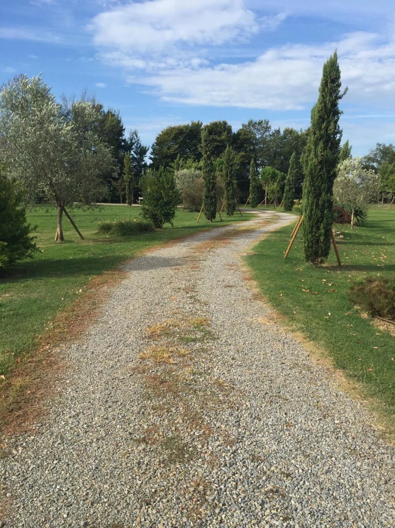 B&B AI Condotti DI Pisa DA Filippo