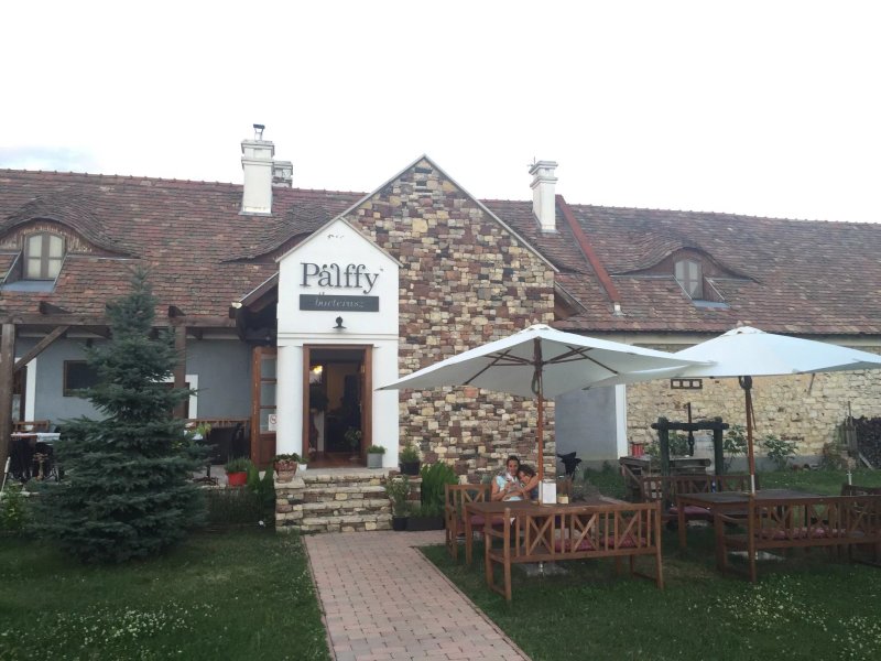 Palffy Pince - Borterasz