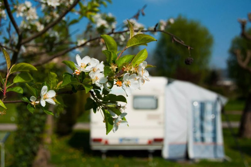 Camping La Ferme Des Epinettes
