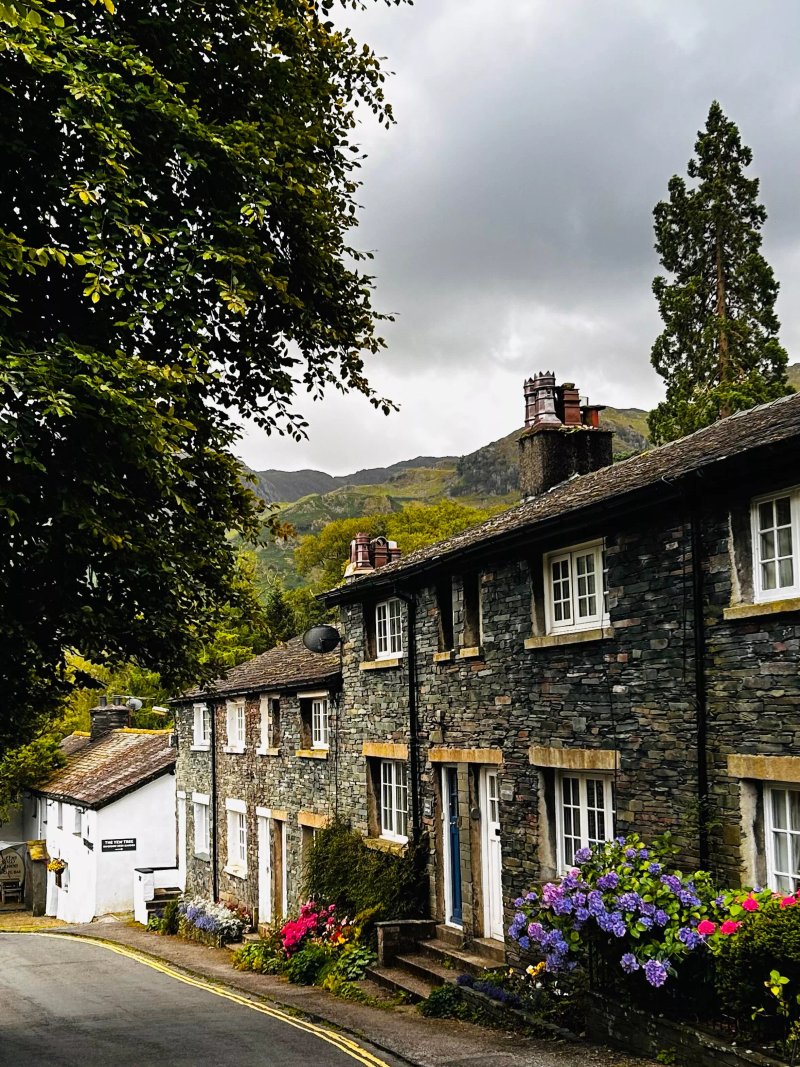 The Yew Tree