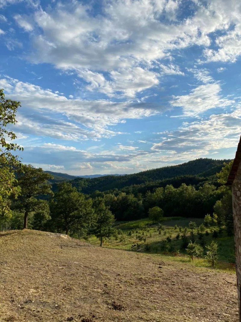 Agriturismo Vezzano