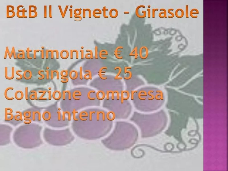 Il Vigneto