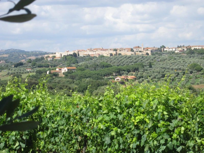 Agriturismo La Carlina