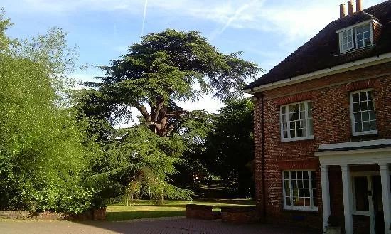 Newbury Manor Hotel