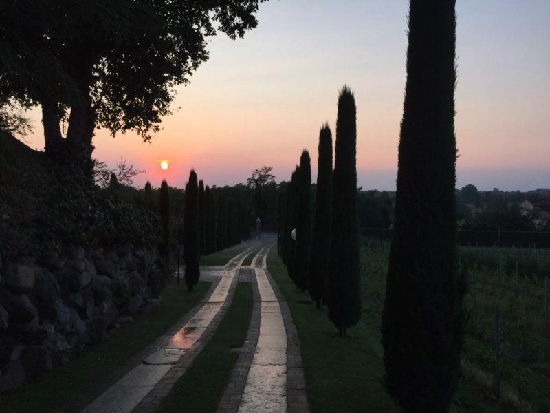 Country House Casino di Caccia