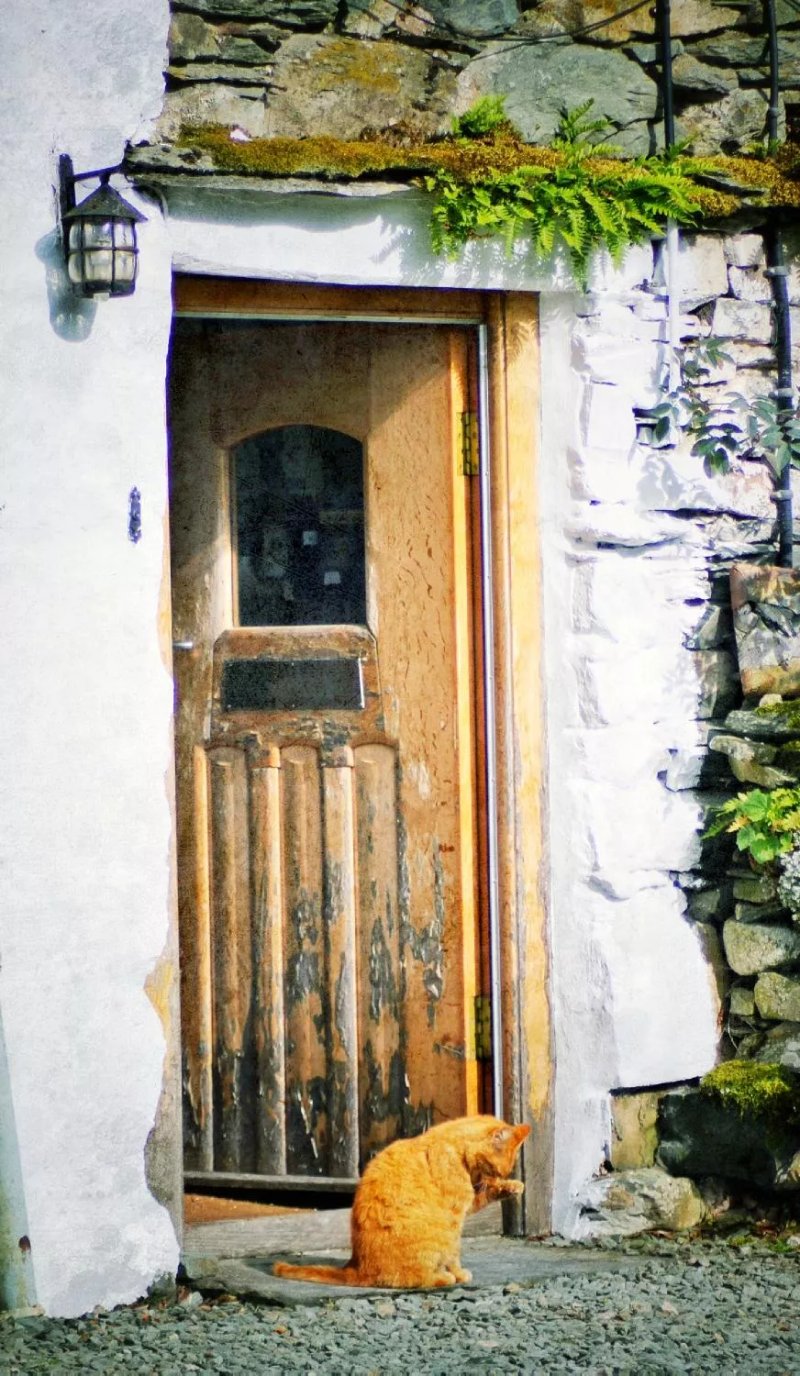 Crookey Cottage
