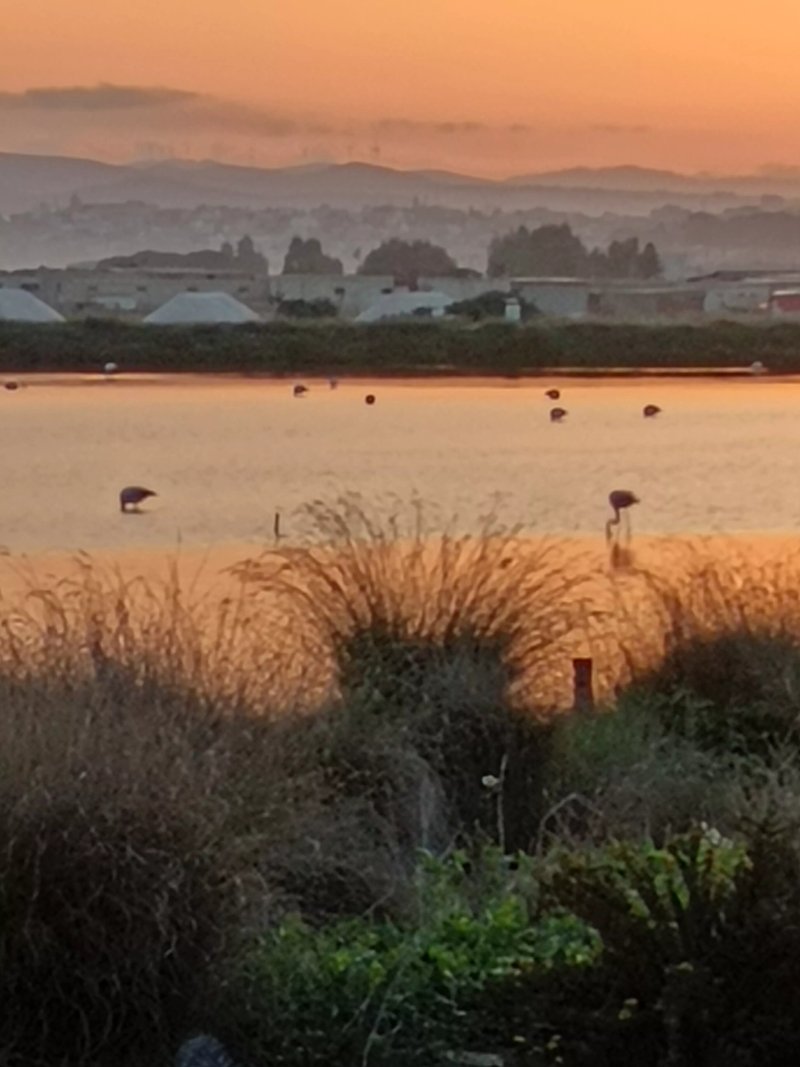 B & B Casolare nelle Saline