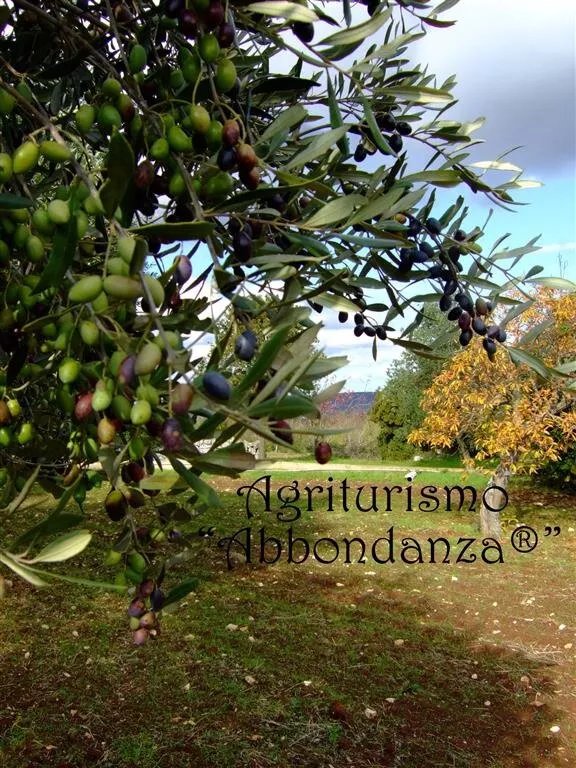 Agriturismo Abbondanza