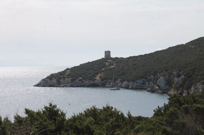 Torre Del Buru (o Del Bulo)
