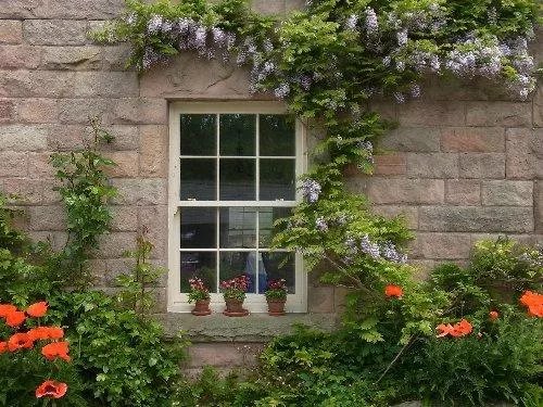 Old Nursery House B&B
