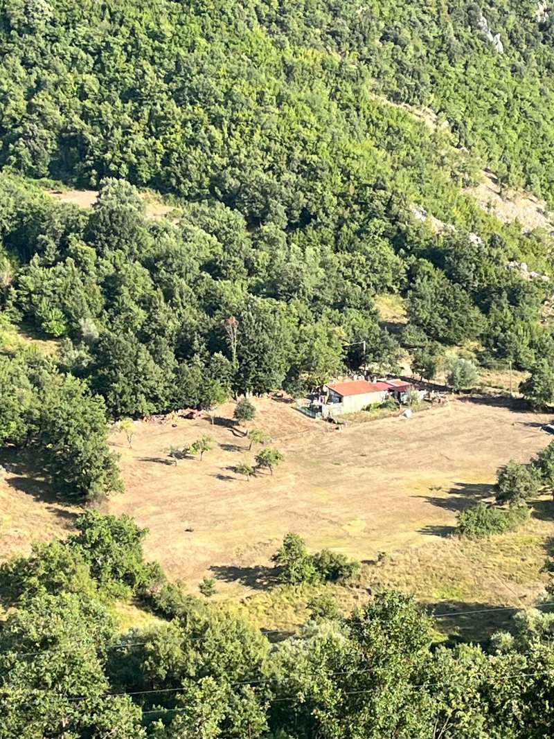 Azienda Agricola Ausono