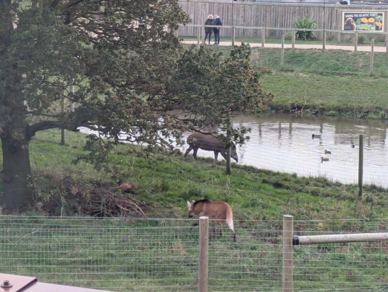 Hex Wildlife Hotel