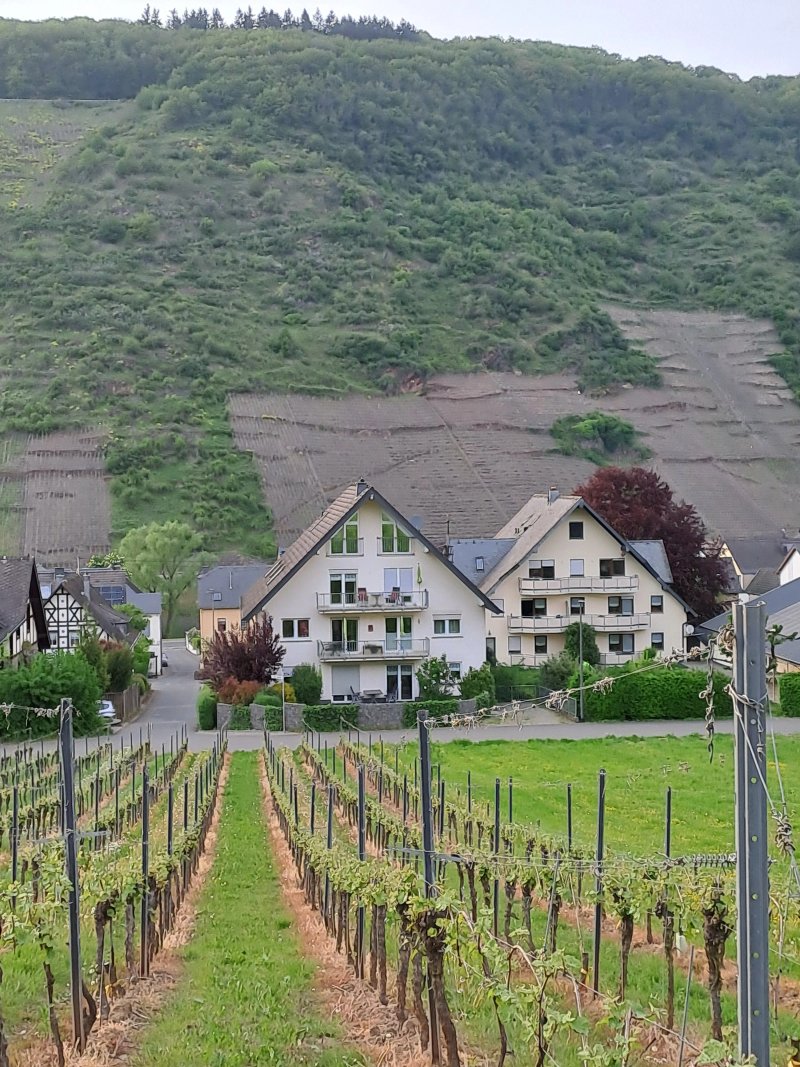 Ferienweingut Zenz