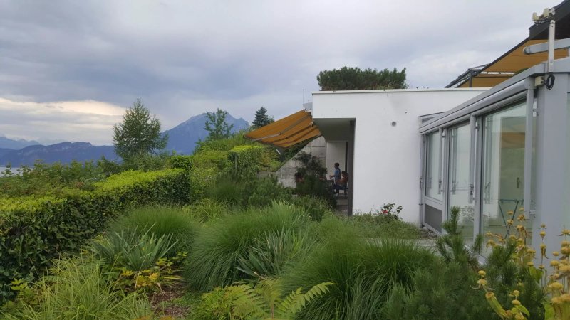 B & B La Tortuga