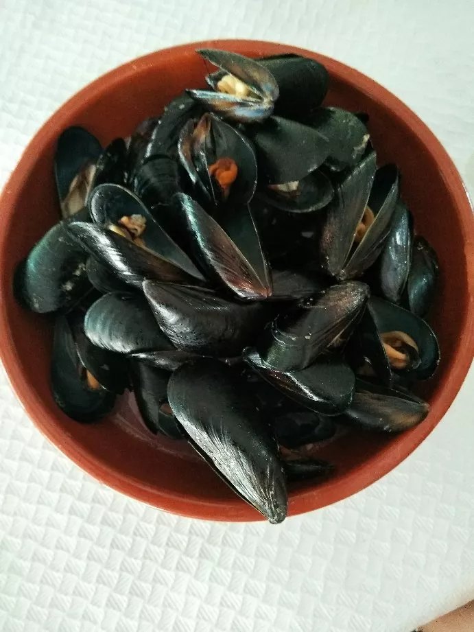 Merendero San Jaime