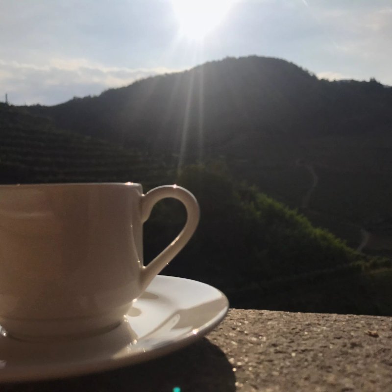 Agriturismo Maso Besleri
