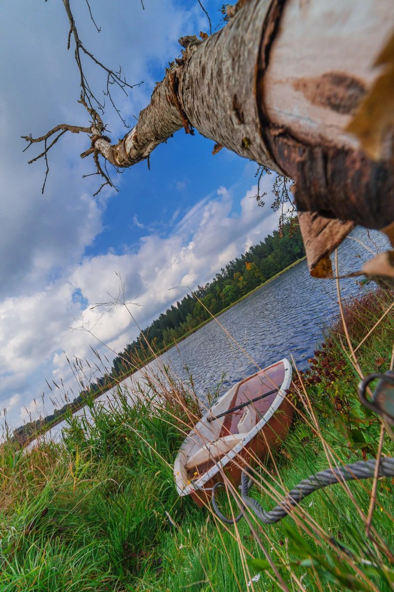 Ferienpark Waldsee