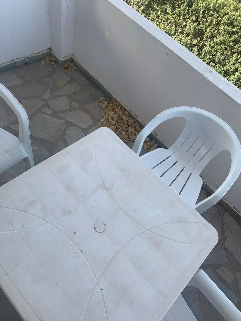 Amfitrion Hotel - Apartments
