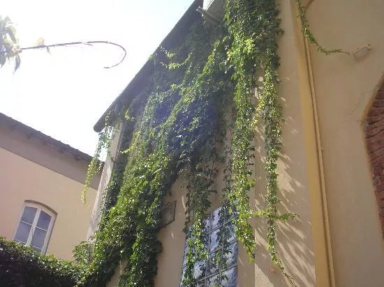 Antica Residenza Santa Chiara B&B