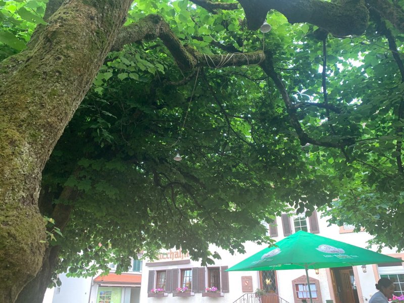 Gasthaus Auerhahn