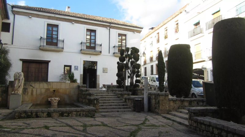 Hotel Plateros
