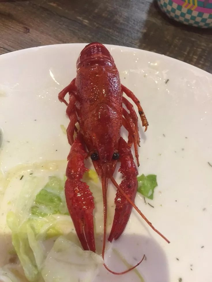 Gourmet Palast