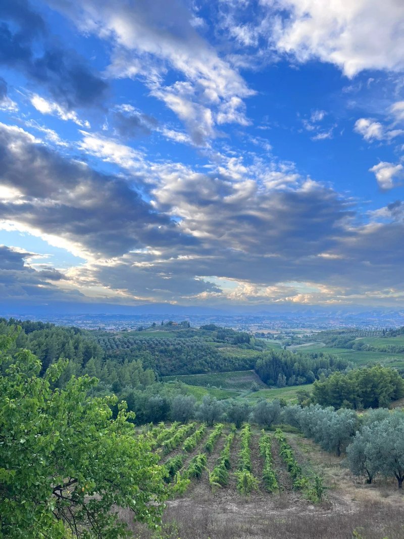 Agriturismo Bellavista