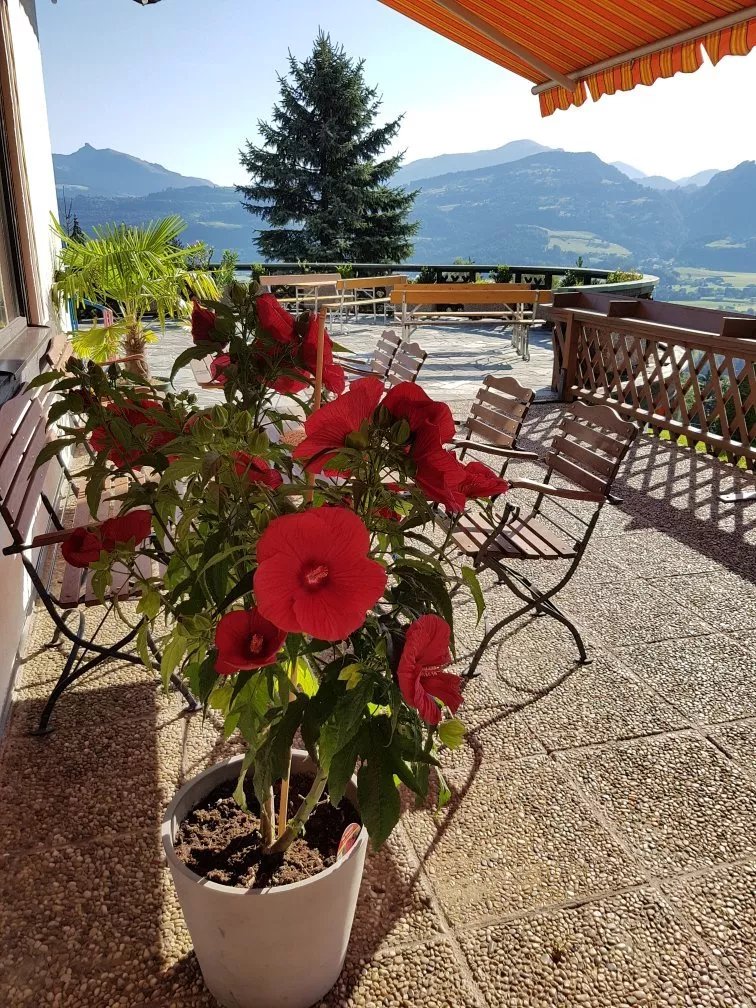 Gasthof Schone Aussicht