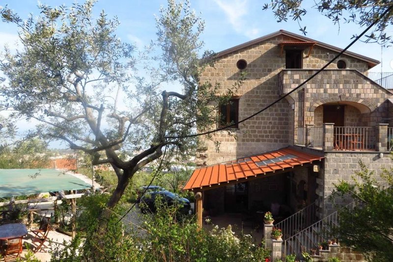 Agriturismo L'Olivara