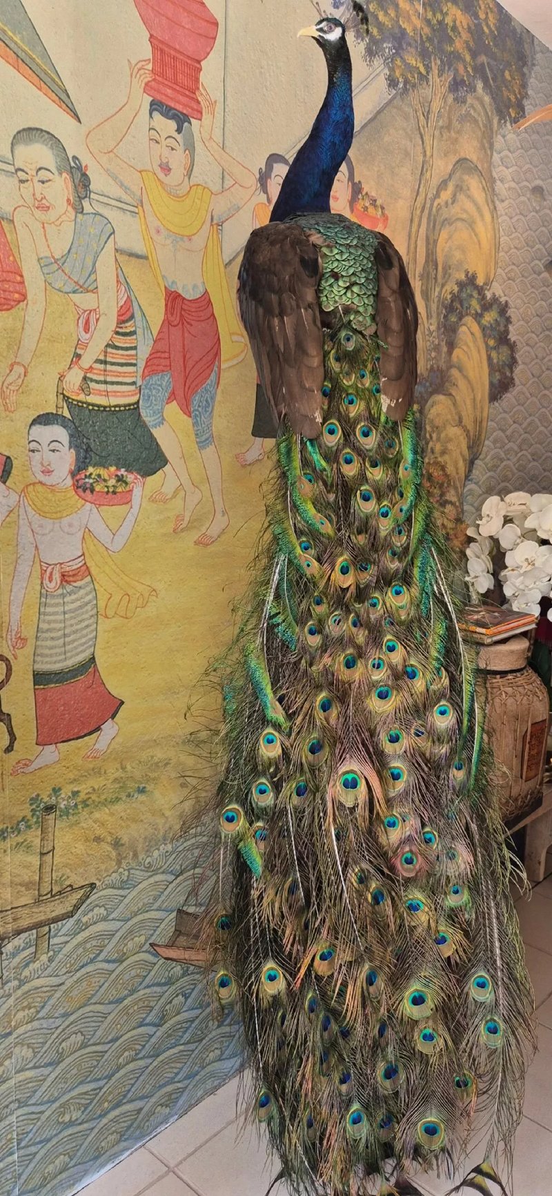 Chern Thai Cafe